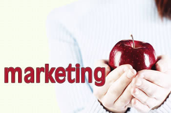 Dù tin hay không, luôn có sự khác biệt lớn giữa marketing cho doanh nghiệp ( B2B marketing ) và cho người tiêu dùng ( B 1